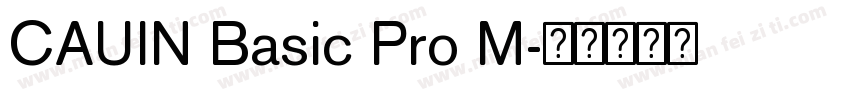 CAUIN Basic Pro M字体转换